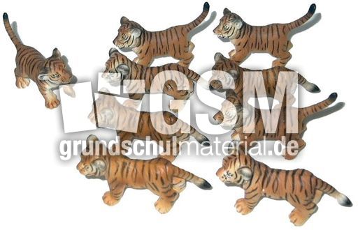 Tiger-1+8.jpg